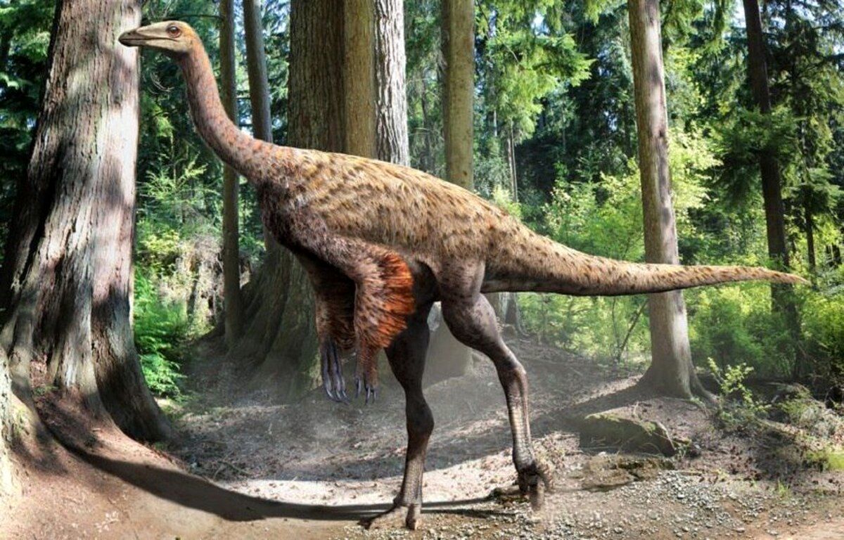  یک دایناسور شترمرغ غول پیکر کشف شد!+عکس