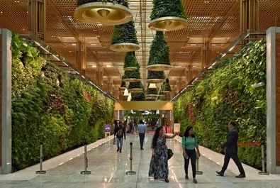 "باغ‌های معلق" در فرودگاه جدید بانکوک