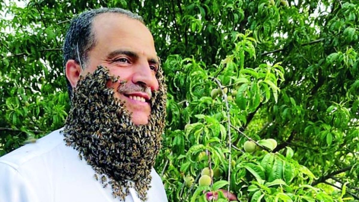 یک مرد با نگهداری ۲۴۰ زنبور هزار روی صورتش رکورد زد!+عکس