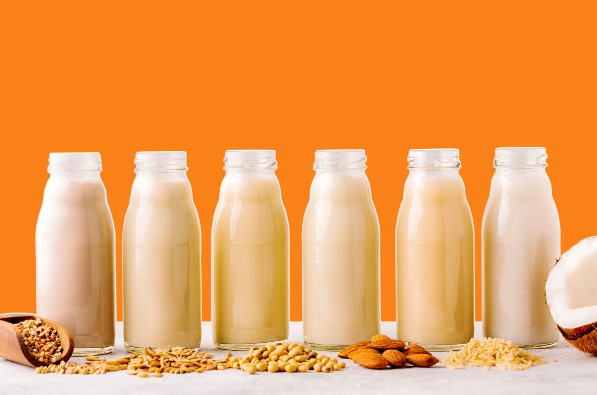 آشنایی با ۷ نوع شیر مفید برای سلامتی 