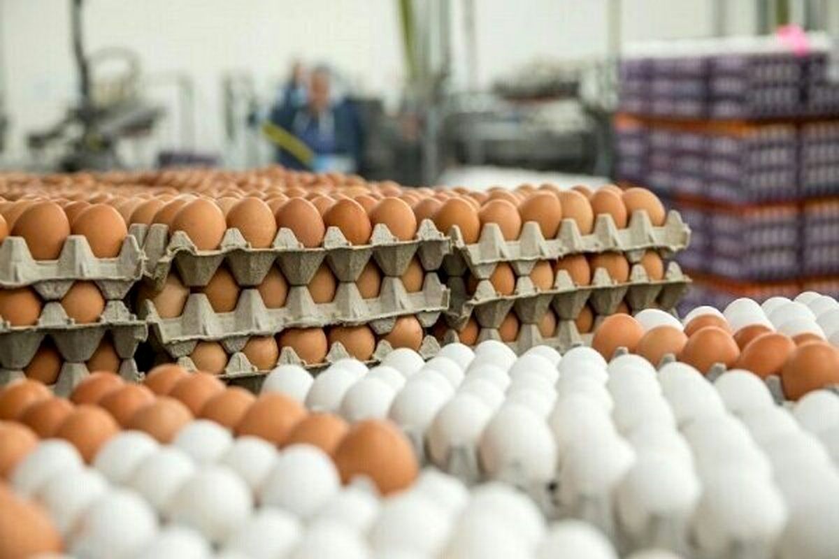 اعلام جدیدترین قیمت انواع تخم مرغ + جدول