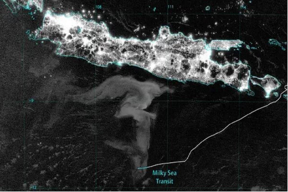 پدیده عجیب دریای شیری برای اولین بار ثبت شد+عکس
