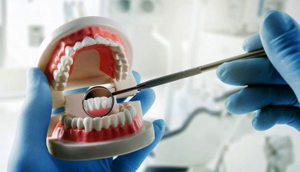 تعداد دندان‌ها با میزان عمر ارتباط دارد!